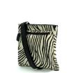 MicMac 15278 Zebra02